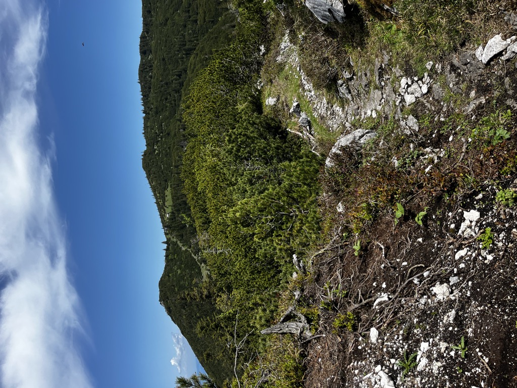 Photo №2 of Brunftboden