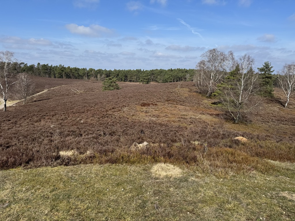 Photo №1 of Brunsberg