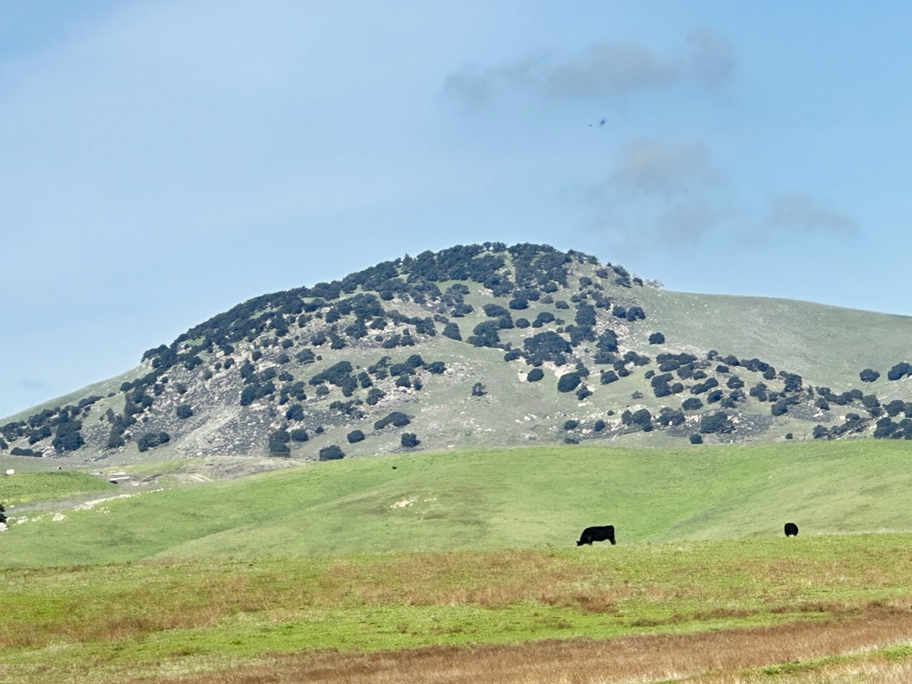 Photo №1 of Brushy Peak