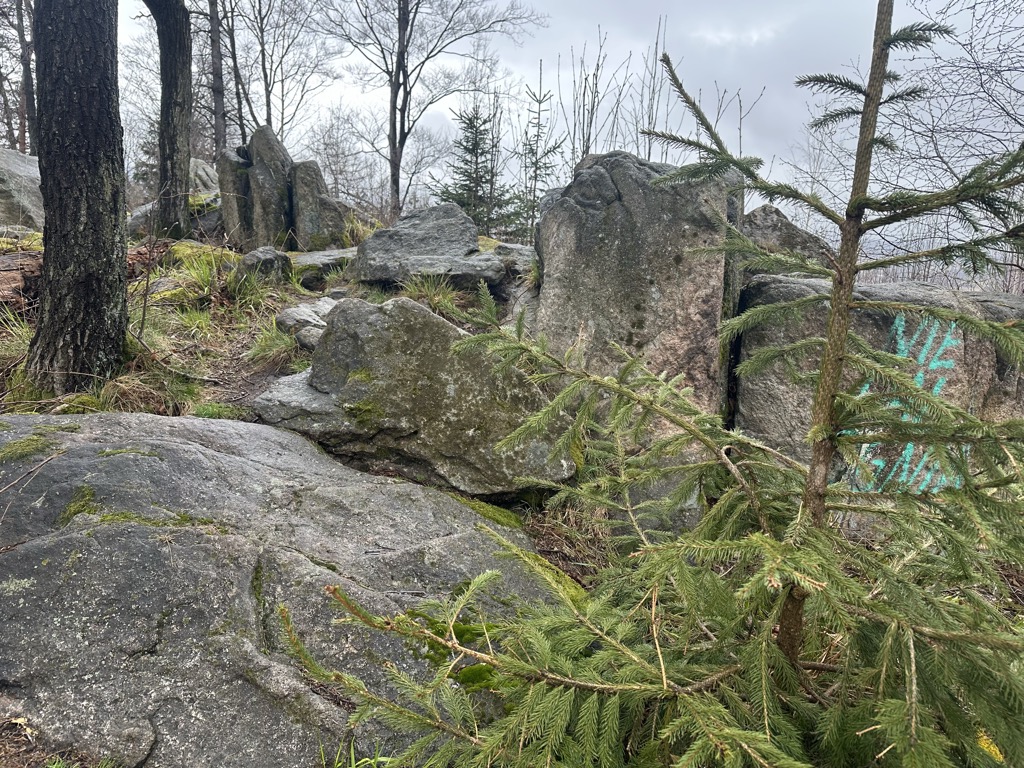 Photo №2 of Brzeźnik