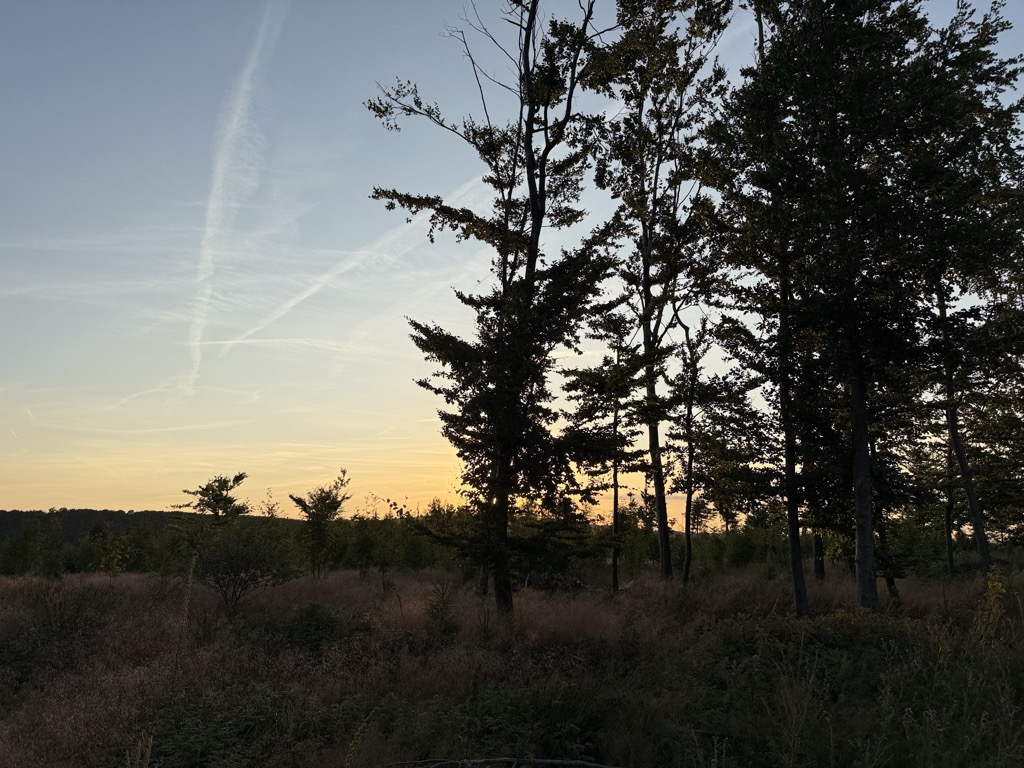 Photo №2 of Buchenberg