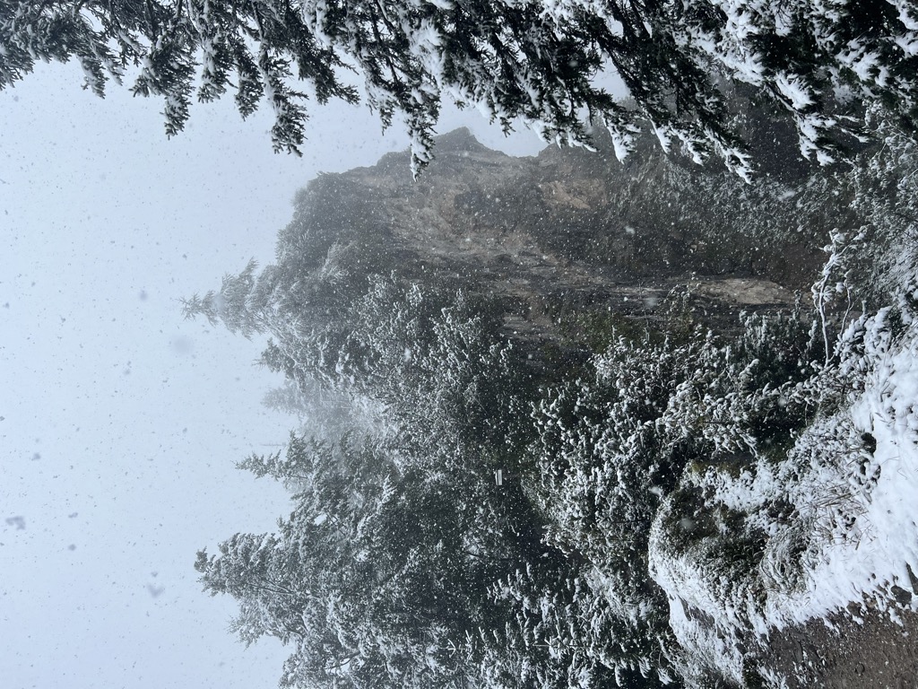 Photo №1 of Buchensteinwand