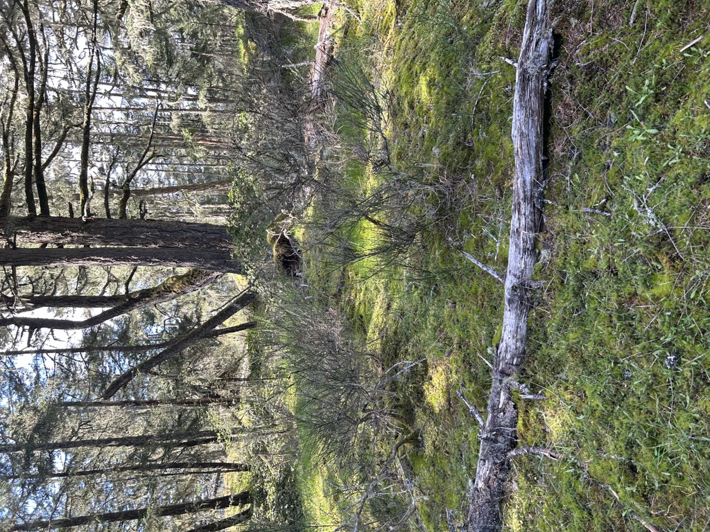 Photo №2 of Buck Hill