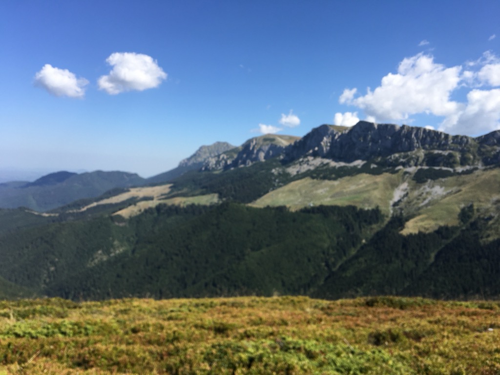 Photo №3 of Bucșa