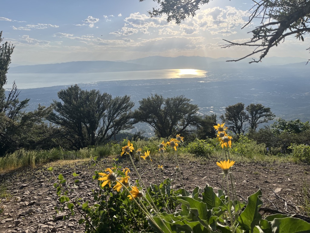 Photo №1 of Buffalo Peak