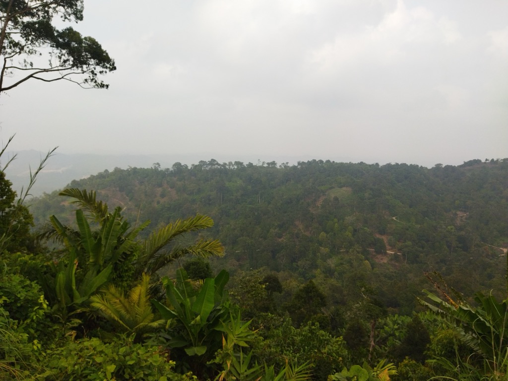 Photo №2 of Bukit Jerung