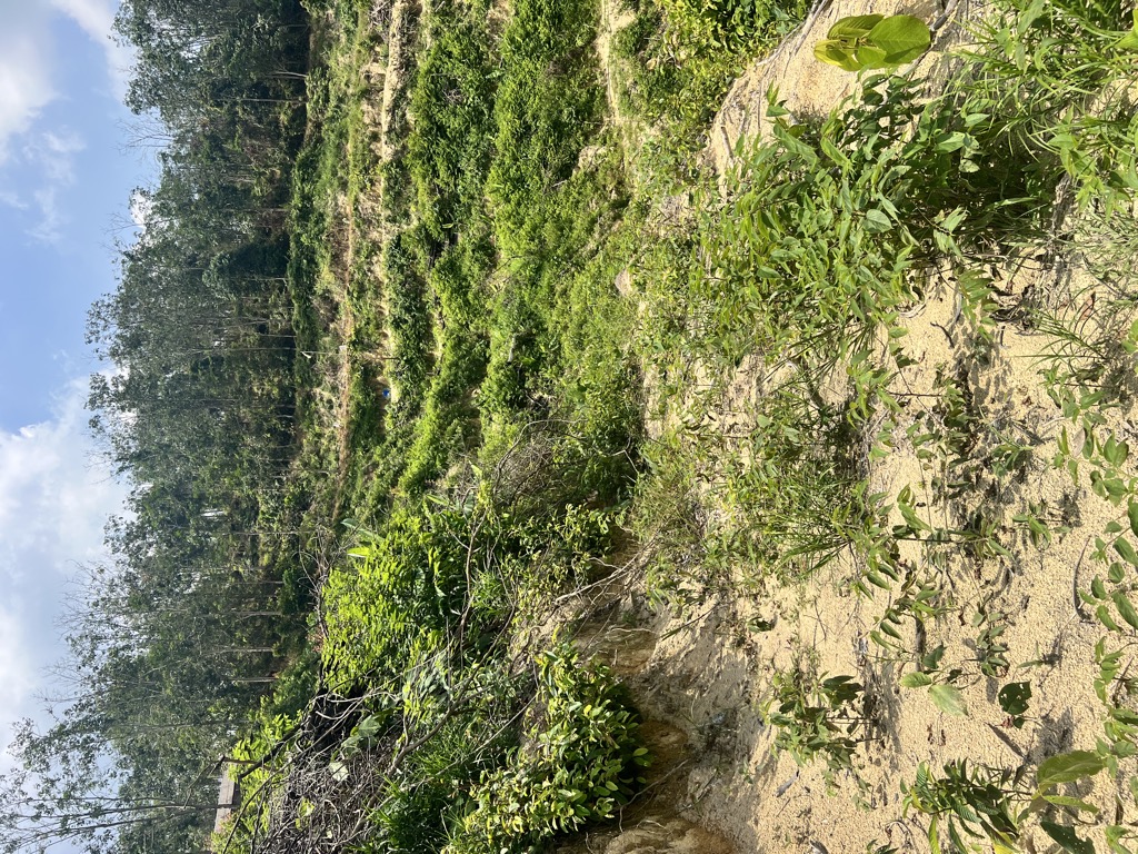 Photo №1 of Bukit Sama Gagah