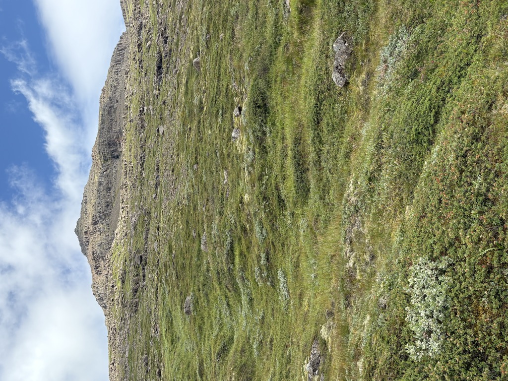 Photo №1 of Búlandstindur