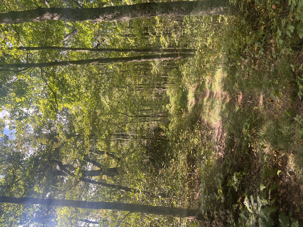 Butchers Gap