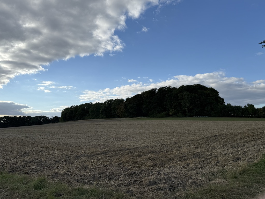 Photo №2 of Buttenberg