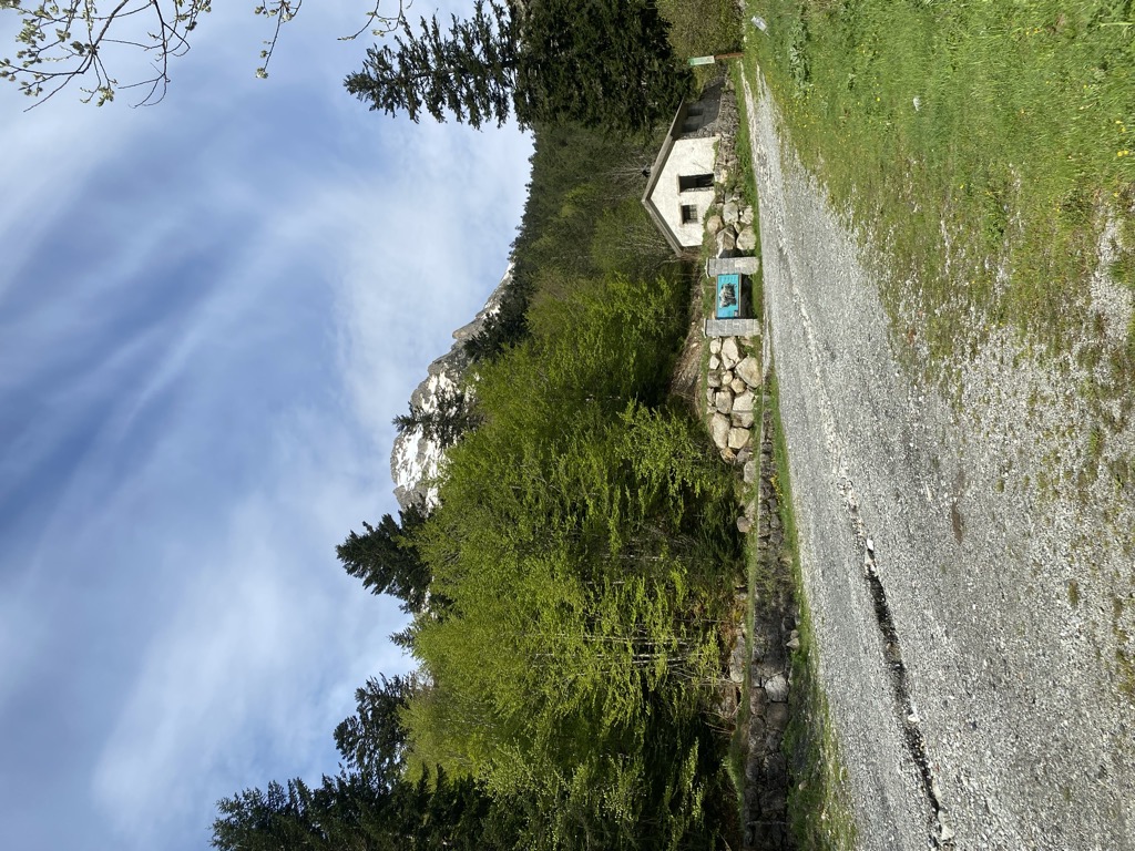 cabana-de-rius