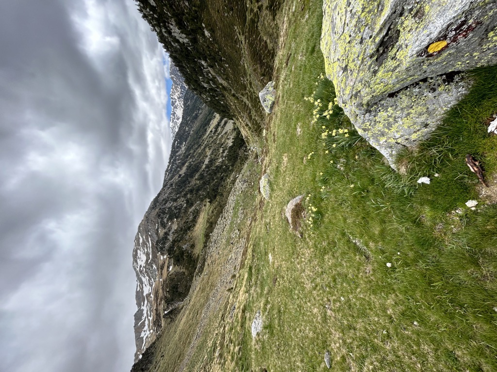 cabana-dels-planells-de-rialb