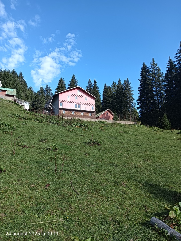 cabana-poiana-izvoarelor