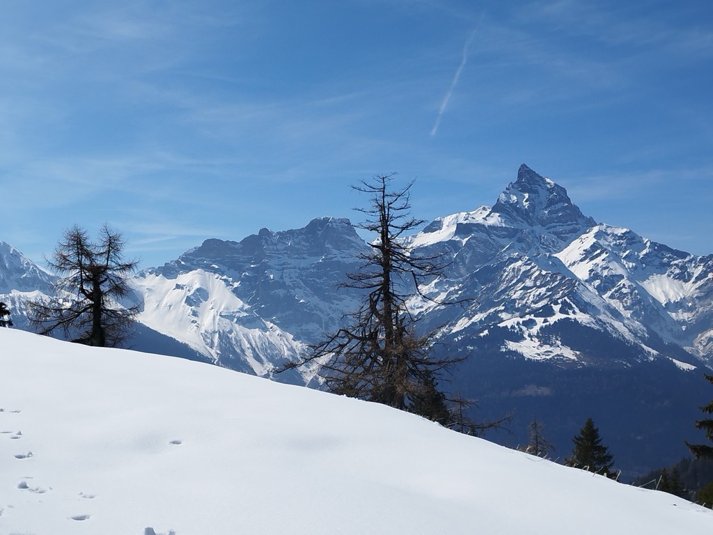 cabane-des-martinaux