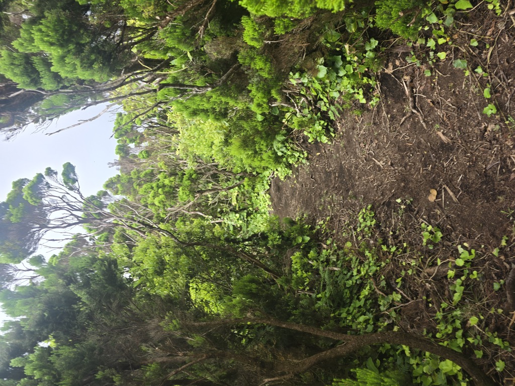 Photo №1 of Cabeço do Canto