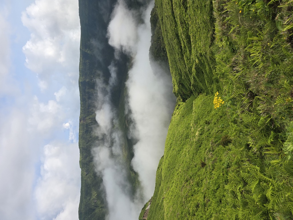 Photo №1 of Cabeço Gordo