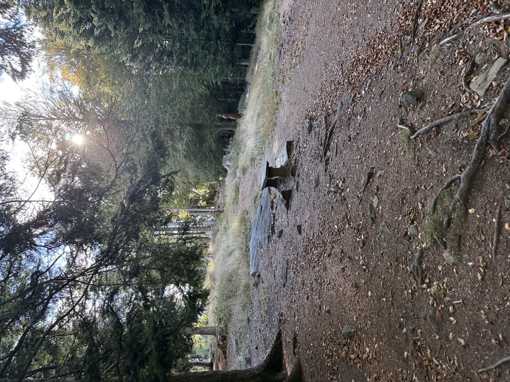 Photo №4 of Cardada