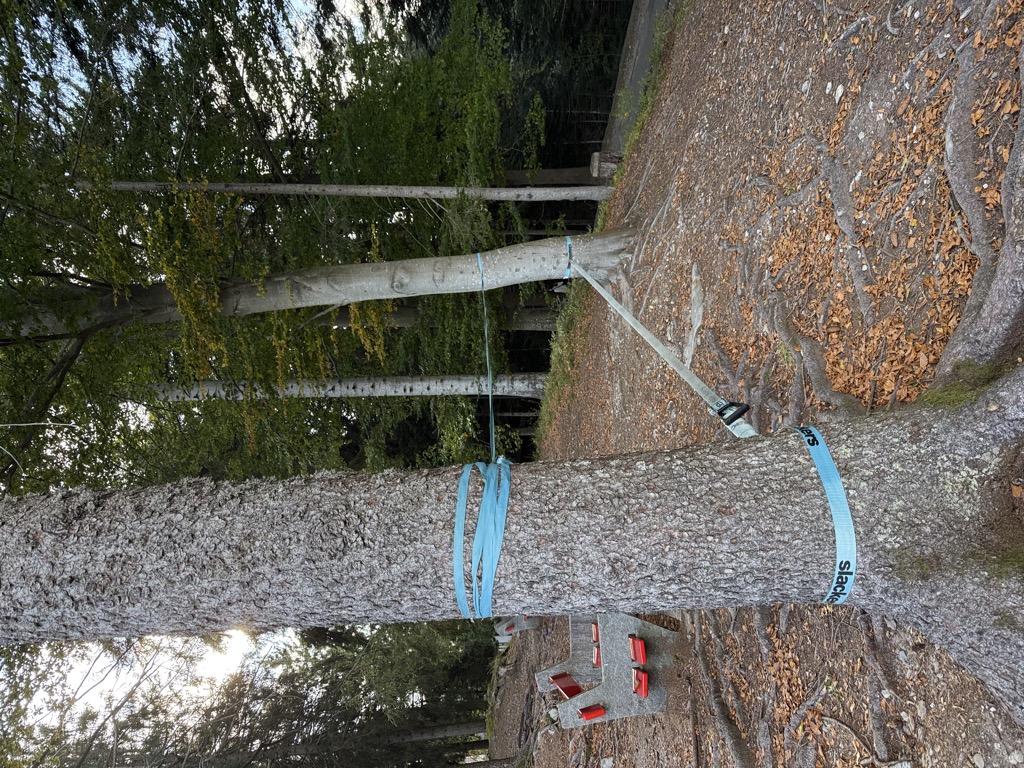 Photo №2 of Cardada