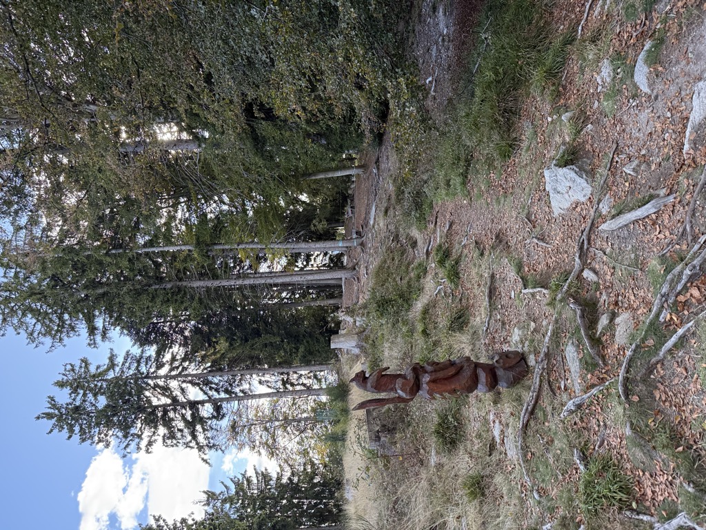 Photo №1 of Cardada