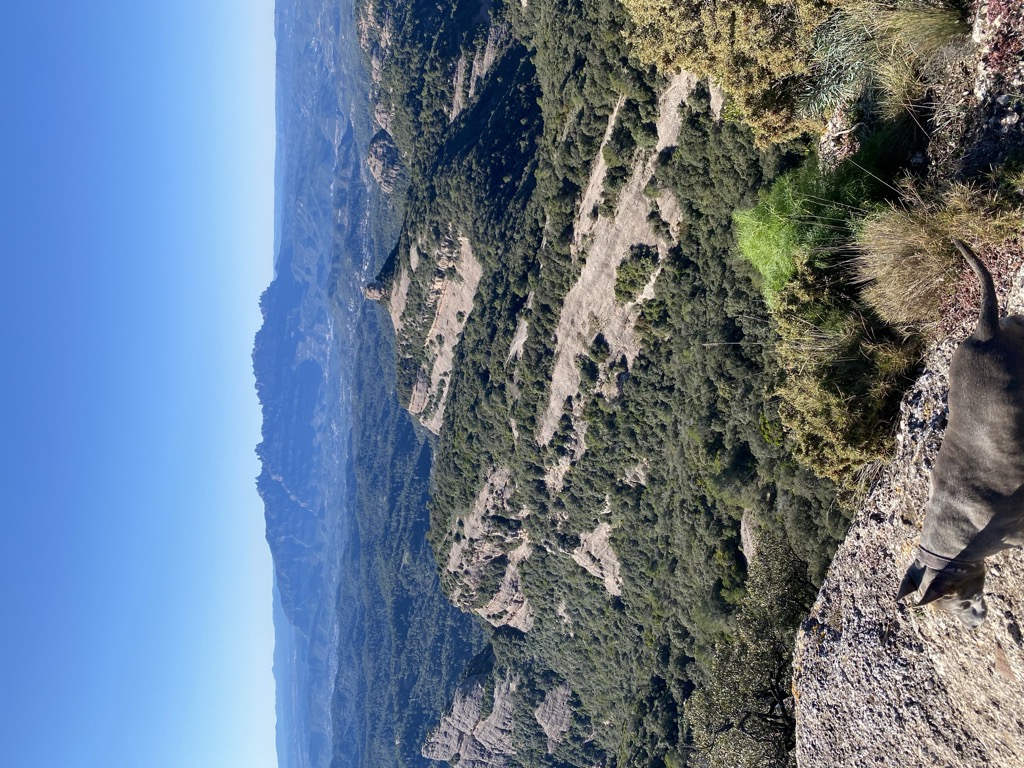 Photo №1 of Castellsapera