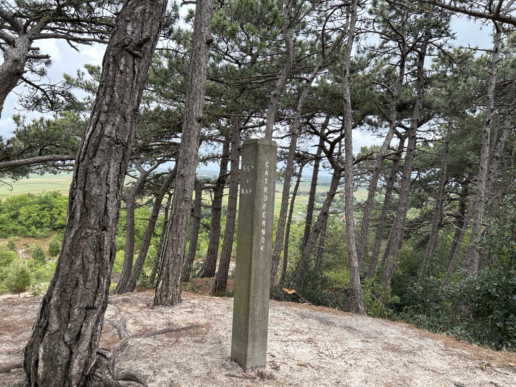 Photo №1 of Catrijper Nok