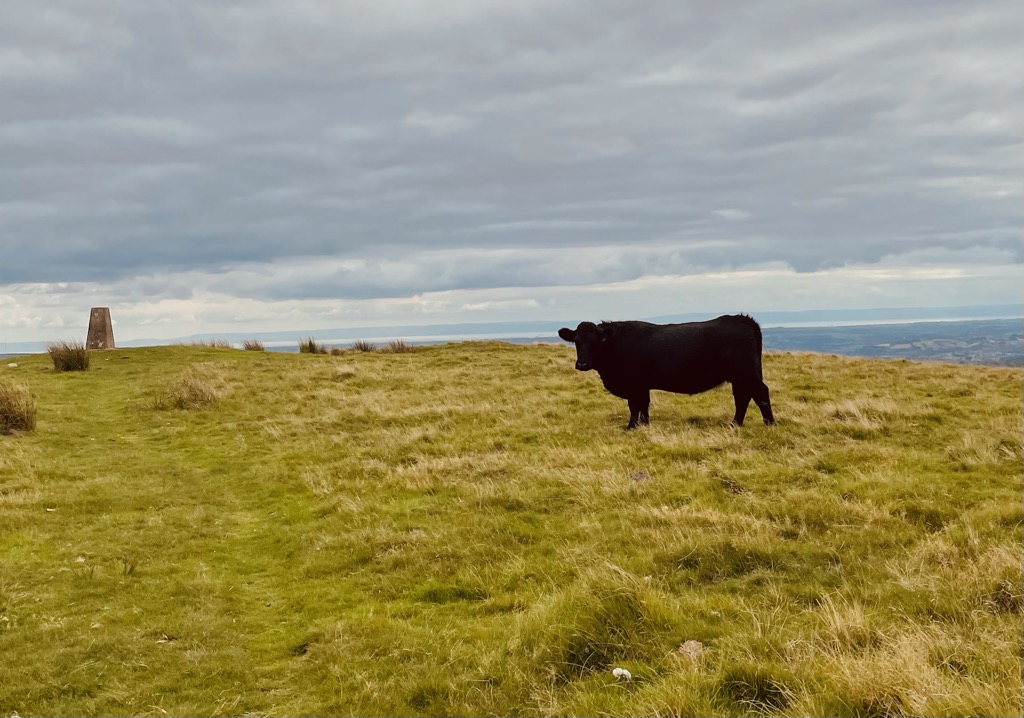 Photo №1 of Cefn Eglwysilan
