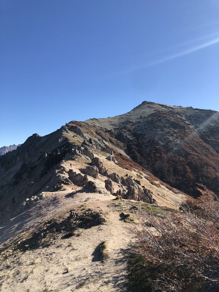 Photo №2 of Cerro Bella Vista