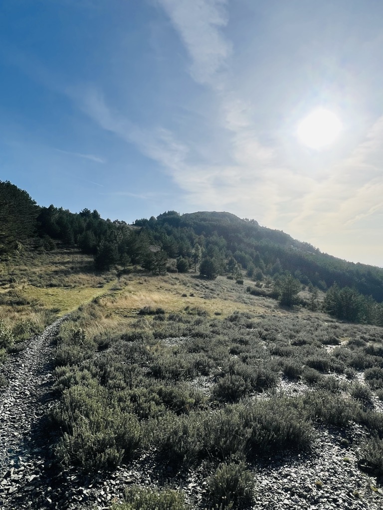 Photo №1 of Cerro Concha