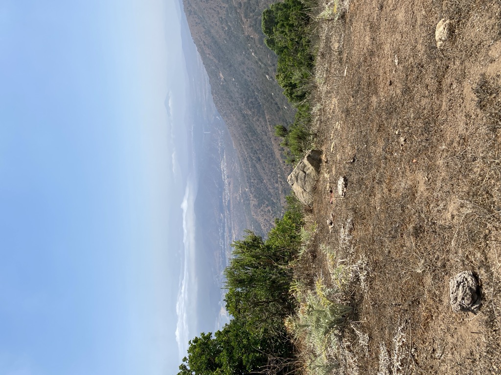 Cerro El Boldo