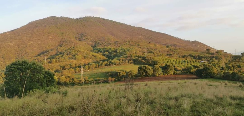 Photo №3 of Cerro El Tlacuache