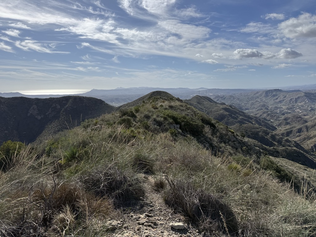 Cerro Gallardo