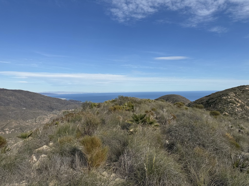 Cerro Gallardo
