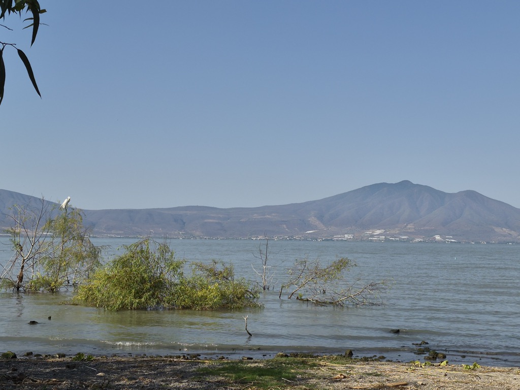 Photo №2 of Cerro García