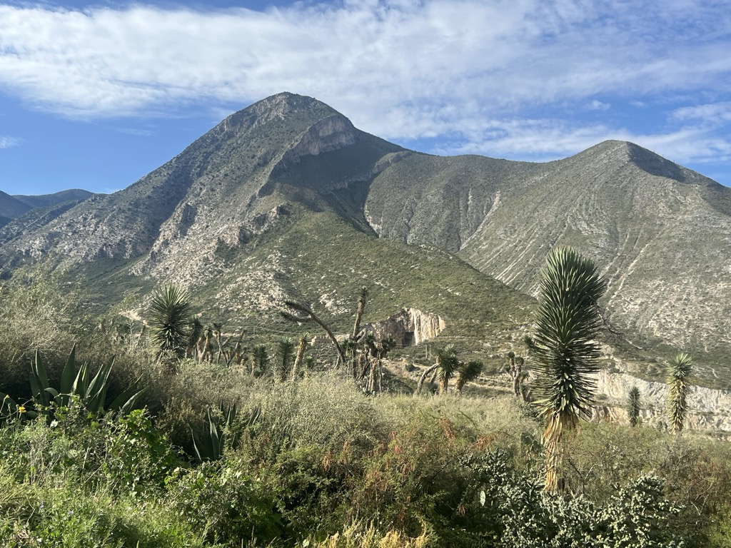 Photo №1 of Cerro Temeroso