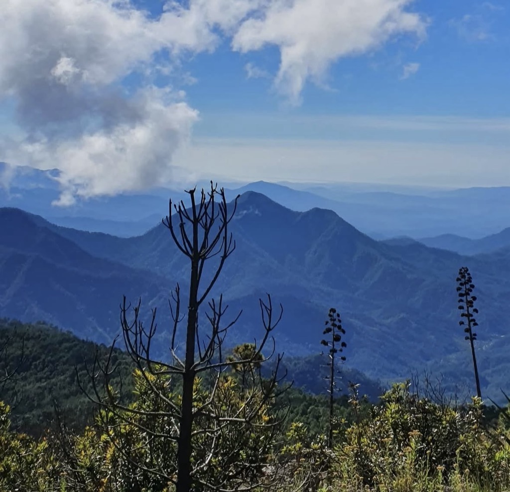 Photo №1 of Cerro Teotepec