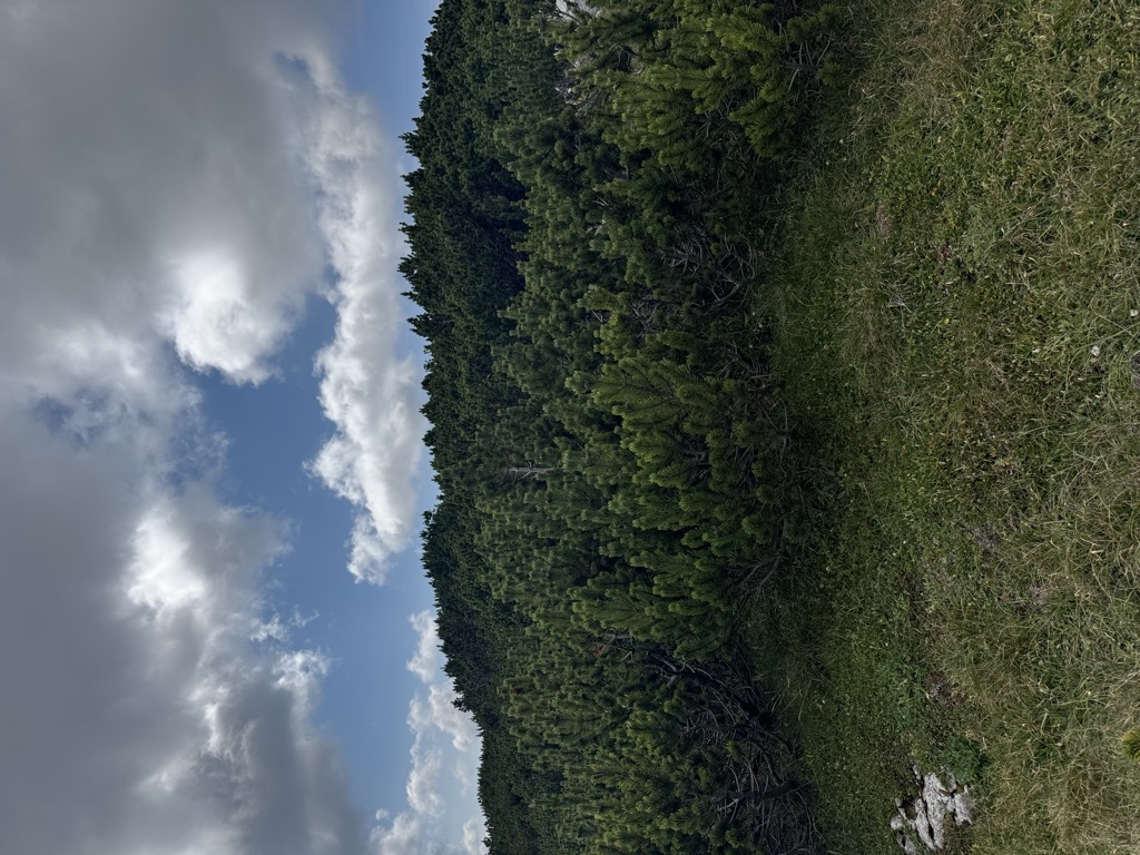 Photo №1 of Četovičko brdo