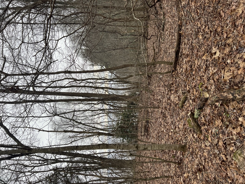 Chadwell Gap