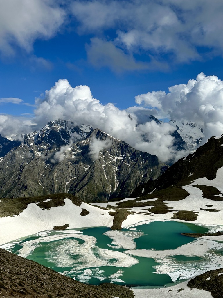 Photo №2 of Chainashki Vostochnii
