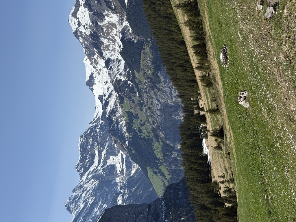 chalet-alpina