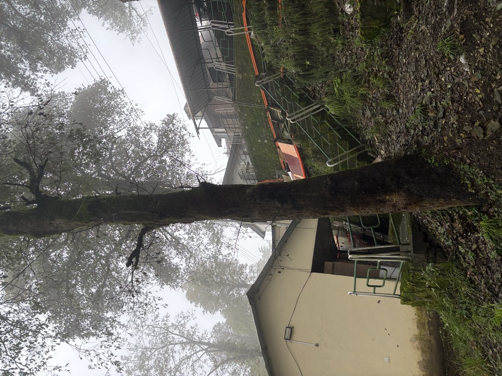 Photo №1 of Chansal peak