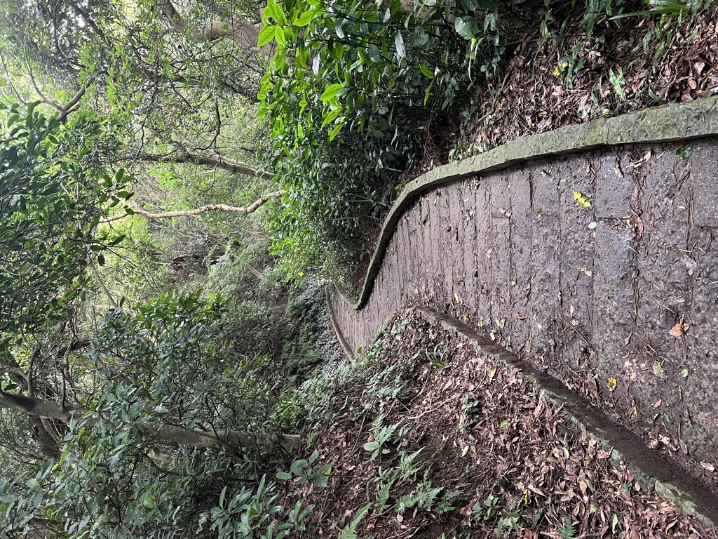 Photo №4 of Chaoyin1jian