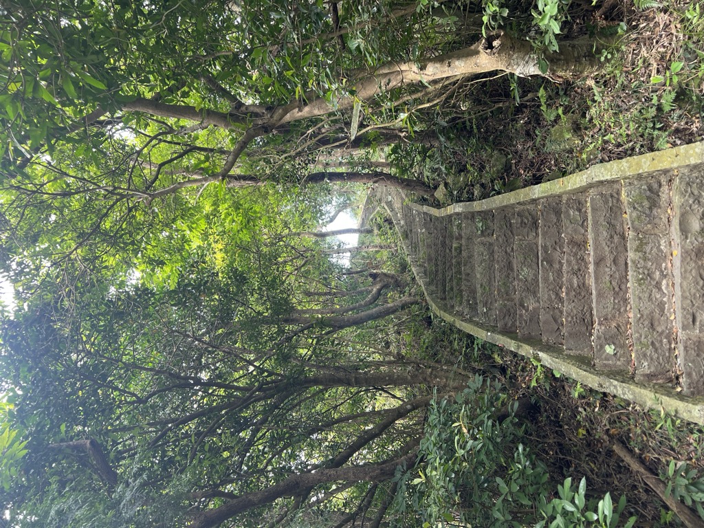 Photo №8 of Chaoyin1jian