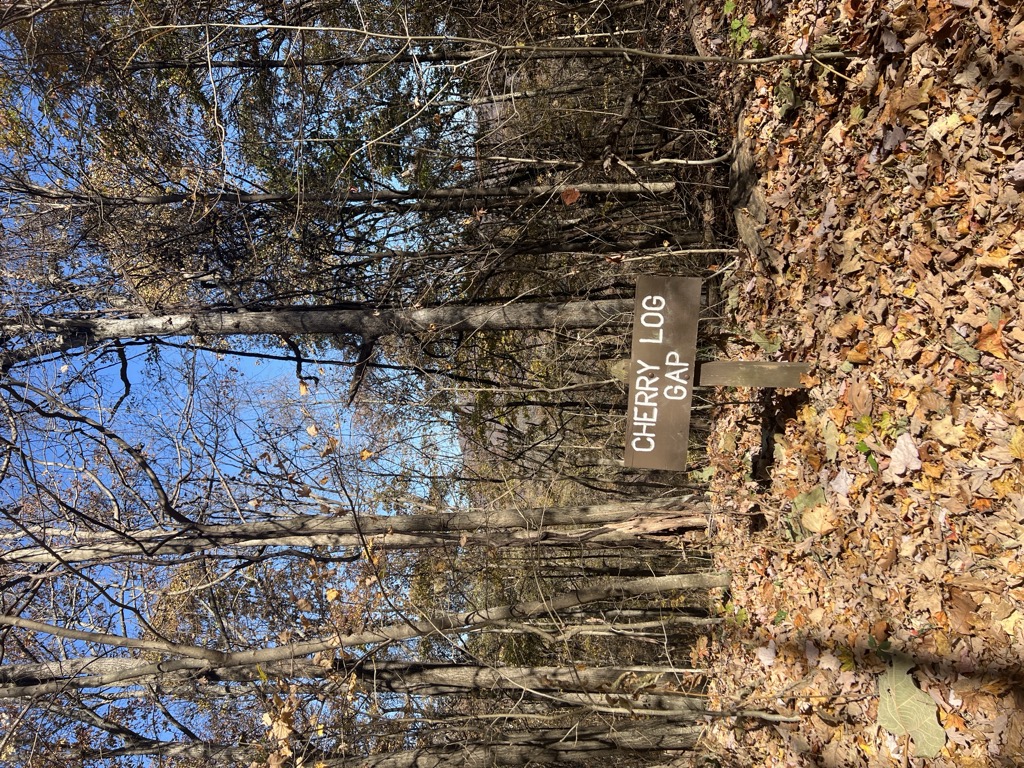 Photo №3 of Cherry Log Gap