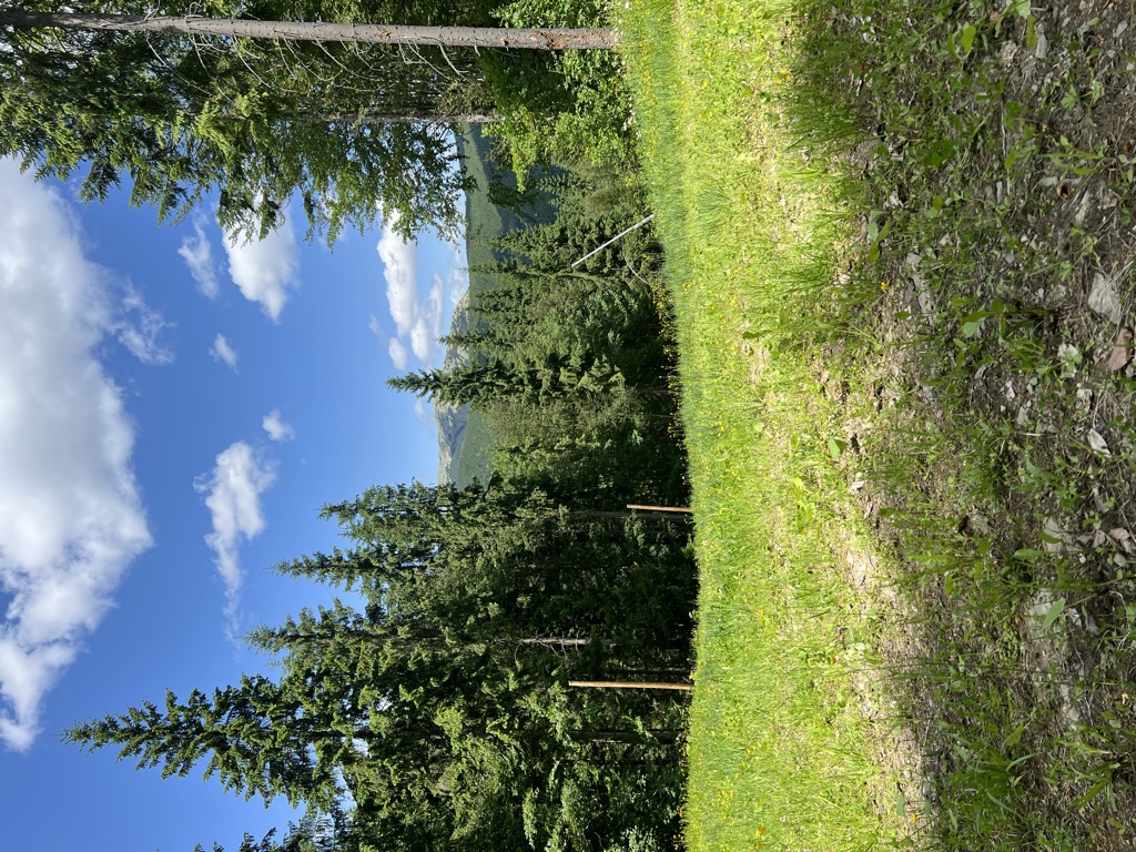 Photo №1 of Chorna Kleva