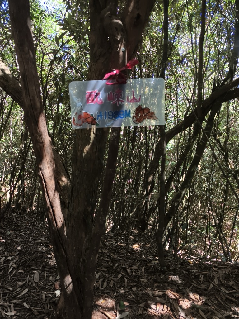 Photo №2 of Choudongshan