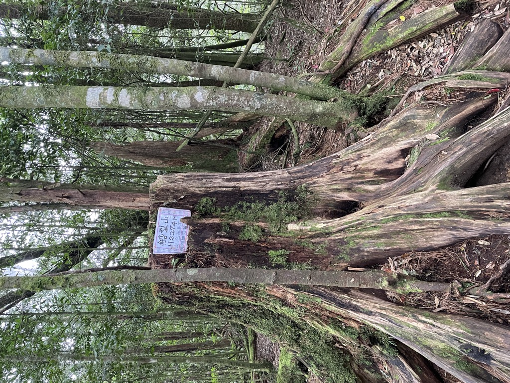 Photo №1 of Chuanxingshan