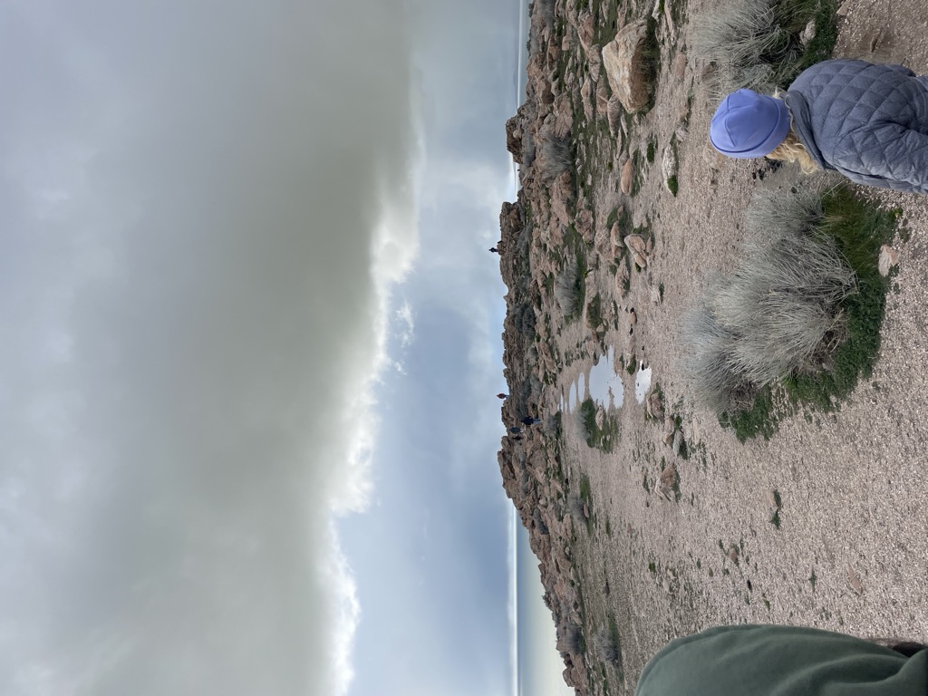 Buffalo Point