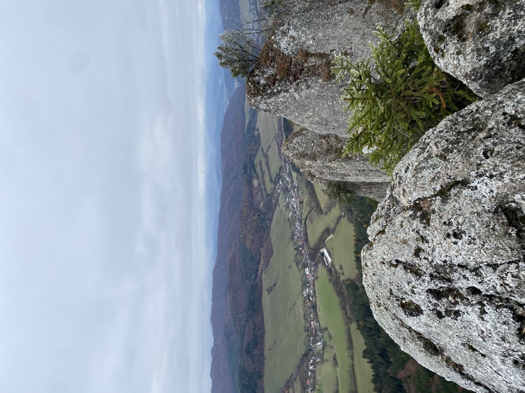 Žibrid