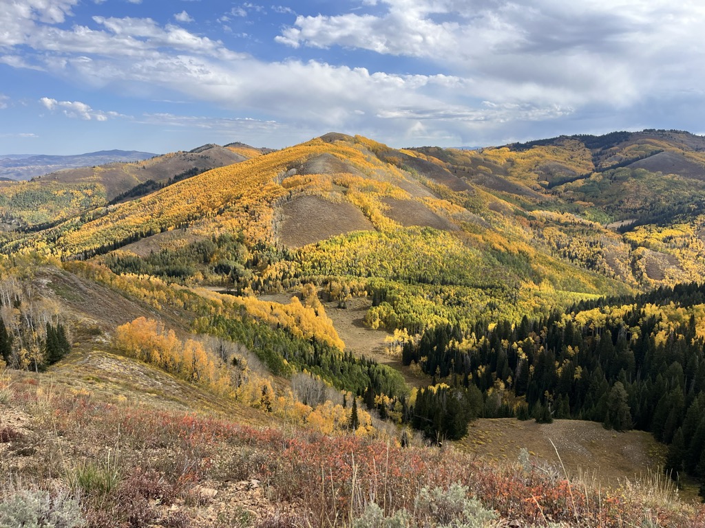 Reynolds Peak
