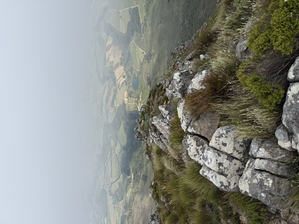 Central Peaks